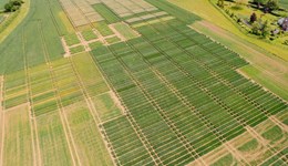 AHDB and NFU variety open day – North West